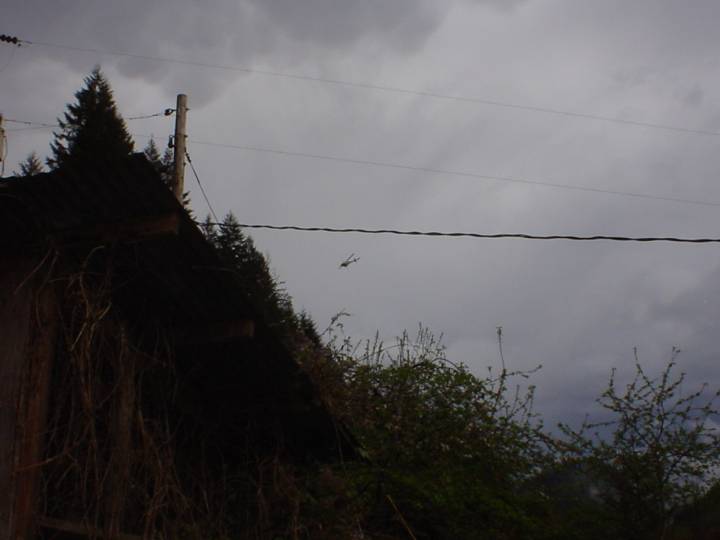 looking North Northeast