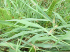 thumbs/DSC01234.png